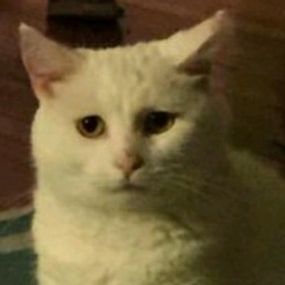 es9
